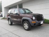 2004 Deep Molten Red Pearl Jeep Liberty Sport 4x4 #20239117