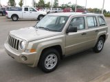 2010 Light Sandstone Metallic Jeep Patriot Sport #20302254