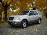 2003 Silver Birch Metallic Ford Expedition XLT 4x4 #20301437