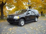 2005 Black Ford Explorer XLT 4x4 #20301438