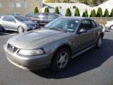 2002 Mineral Grey Metallic Ford Mustang V6 Coupe #20457217