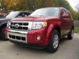 2010 Sangria Red Metallic Ford Escape Limited V6 #20466444