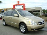 2007 Sonora Gold Hyundai Entourage GLS #2040870