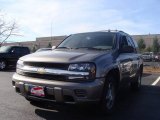 2007 Graystone Metallic Chevrolet TrailBlazer LS 4x4 #20458366