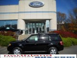 2010 Black Ford Escape XLT V6 4WD #20522650