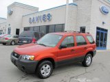 Blazing Copper Metallic Ford Escape in 2006