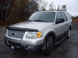 2005 Silver Birch Metallic Ford Expedition XLT 4x4 #20525050