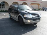2007 Ford Expedition Eddie Bauer