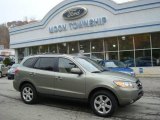 2009 Natural Khaki Hyundai Santa Fe Limited #20660682