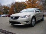 2010 Gold Leaf Metallic Ford Taurus Limited #20671314