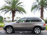 2004 Sterling Grey Metallic BMW X5 4.4i #20720957