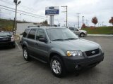 2005 Titanium Green Metallic Ford Escape XLT V6 4WD #20727086