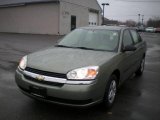 2005 Silver Green Metallic Chevrolet Malibu Sedan #20792720