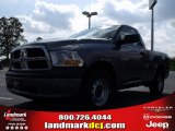 2010 Mineral Gray Metallic Dodge Ram 1500 ST Regular Cab #20911688