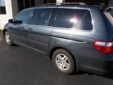 2006 Sage Brush Pearl Honda Odyssey EX-L #20923015