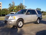 2003 Silver Birch Metallic Ford Expedition XLT #21004715