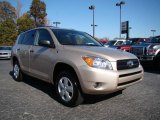 2006 Beige Metallic Toyota RAV4  #20997988