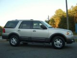 2004 Silver Birch Metallic Ford Expedition XLT #21227387