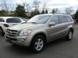 2007 Pewter Metallic Mercedes-Benz GL 450 #21225086