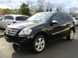 2009 Black Mercedes-Benz ML 350 4Matic #21225051