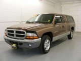 2001 Medium Bronze Pearl Dodge Dakota SLT Club Cab #21306668