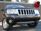 2004 Dark Khaki Pearl Jeep Grand Cherokee Limited #21298879