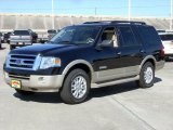 2008 Ford Expedition Eddie Bauer Data, Info and Specs