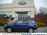 2007 Vista Blue Metallic Ford Escape XLT 4WD #21371254