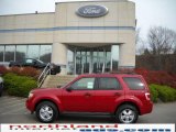 2010 Sangria Red Metallic Ford Escape XLT V6 4WD #21371229
