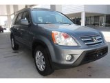 2005 Pewter Pearl Honda CR-V Special Edition 4WD #21456900
