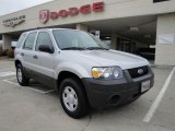 2007 Silver Metallic Ford Escape XLS 4WD #21514538