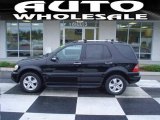 2005 Black Mercedes-Benz ML 350 4Matic #21630361