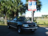 2000 Amazon Green Metallic Ford F150 XLT Extended Cab #21622724