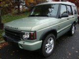 2003 Vienna Green Land Rover Discovery SE #21633056