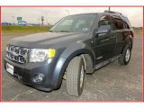 2008 Black Pearl Slate Metallic Ford Escape XLT V6 #21703408