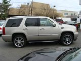 2007 Gold Mist Cadillac Escalade AWD #21764385