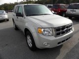 2009 Ford Escape XLT V6