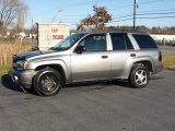 2007 Graystone Metallic Chevrolet TrailBlazer LS 4x4 #21874841