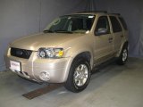 2007 Dune Pearl Metallic Ford Escape XLT V6 4WD #21937803