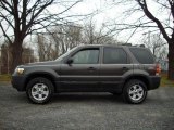 2007 Dark Stone Metallic Ford Escape XLT V6 4WD #21935073