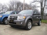 2010 Sterling Grey Metallic Ford Escape XLT 4WD #22010534