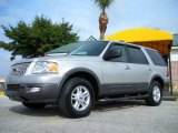 2004 Silver Birch Metallic Ford Expedition XLT #22061673
