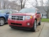 2010 Sangria Red Metallic Ford Escape XLT 4WD #22156654