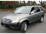 2006 Silver Moss Metallic Honda CR-V EX 4WD #22199800