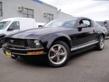 2006 Black Ford Mustang V6 Deluxe Coupe #22198745