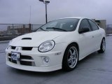 2005 Stone White Dodge Neon SRT-4 #22330796