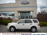 2010 White Suede Ford Escape XLT V6 4WD #22413523