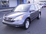 2010 Urban Titanium Metallic Honda CR-V EX-L #22282548