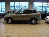 2007 Hyundai Santa Fe GLS 4WD