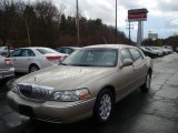 2009 Light French Silk Metallic Lincoln Town Car Signature Limited #22321885